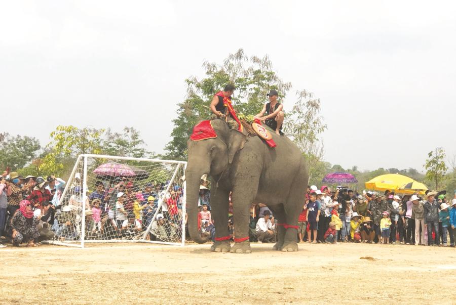 Đặc sắc lễ hội đua voi Buôn Đôn tại Buôn Ma Thuột thu hút người xem 