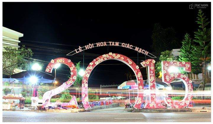 Trải nghiệm ngay lễ hội hoa tam giác mạch đặc sắc tại Hà Giang