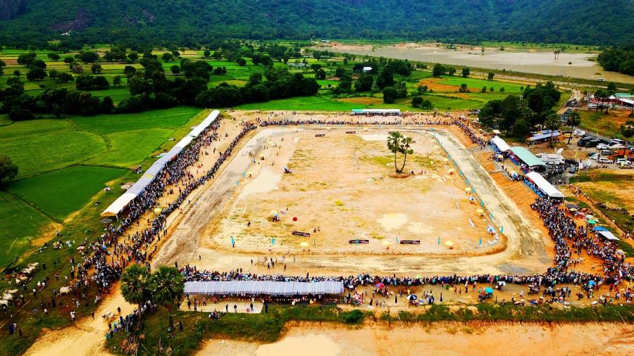 Sôi nổi lễ hội đua bò Bảy Núi ở An Giang